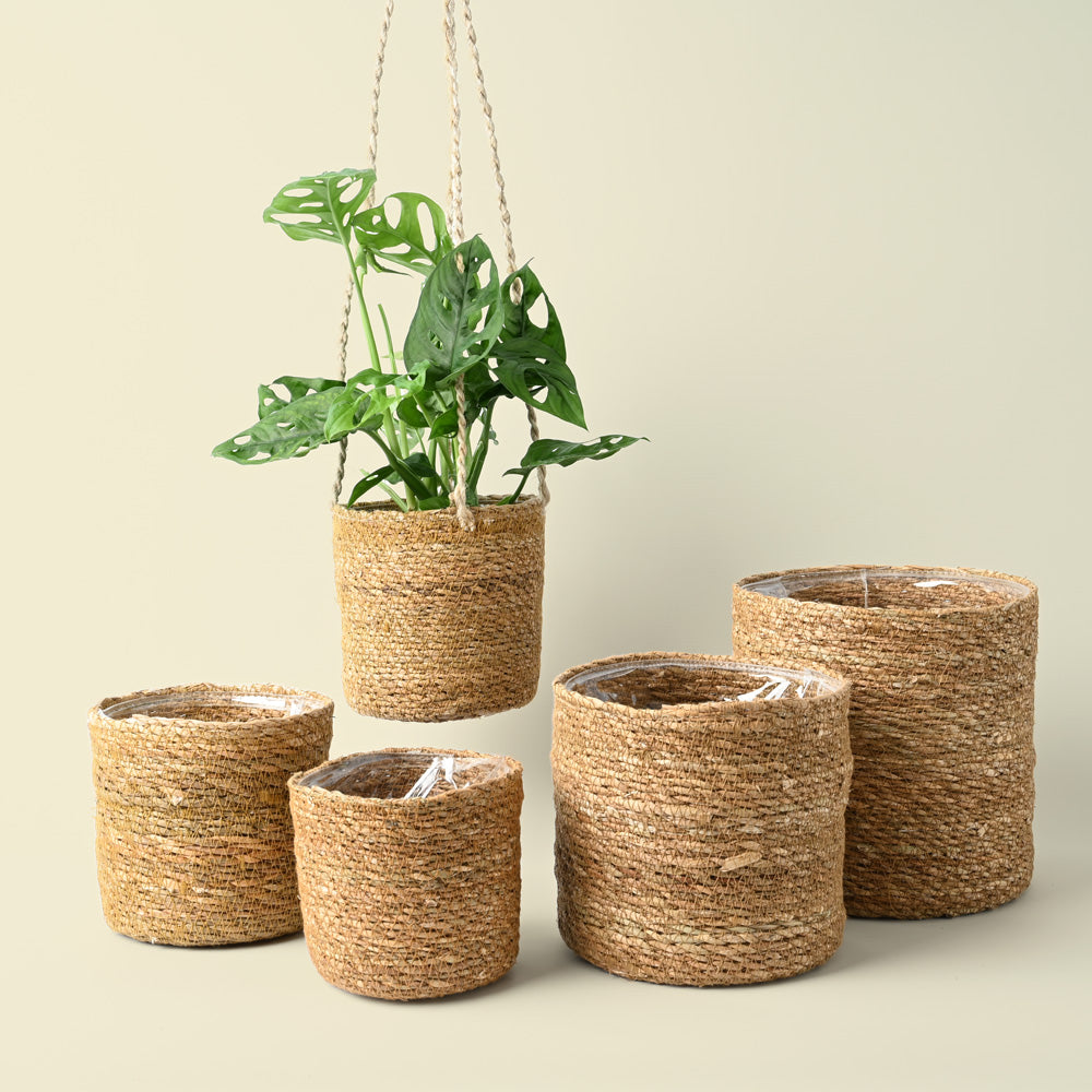 Chai Natural Hanging Rope Pot | 14cm