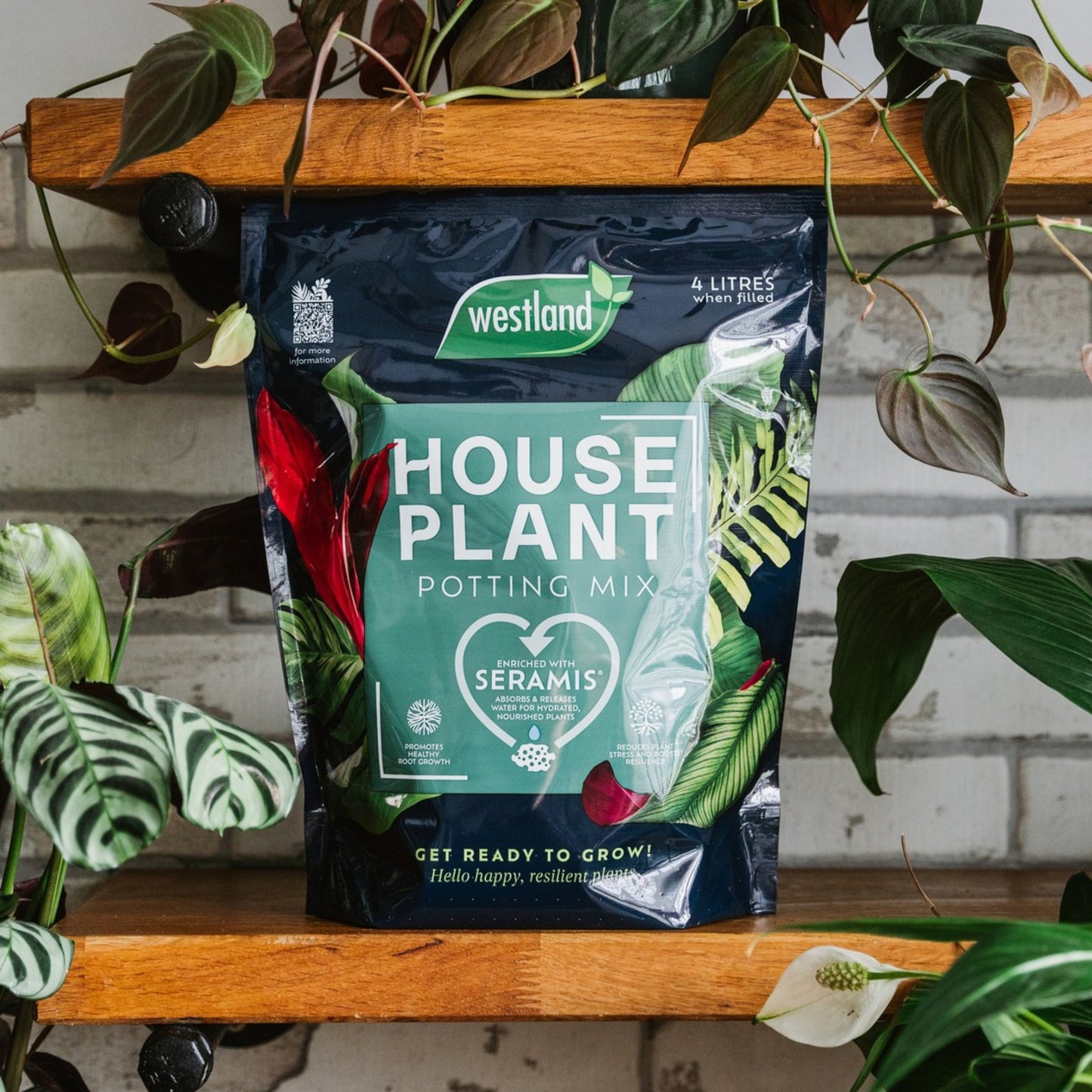 Houseplant Potting Mix 4L