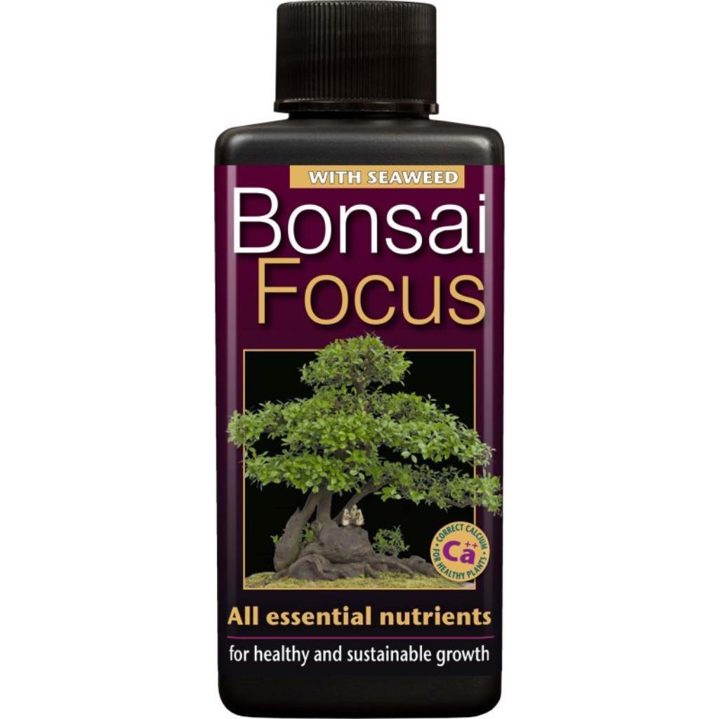 Bonsai Focus