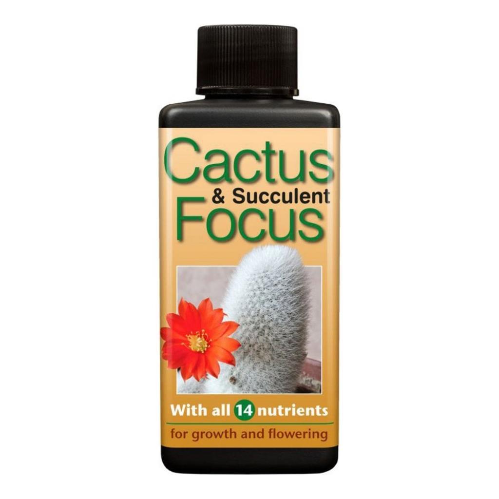 Cactus & Succulent Focus 300Ml